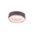 Triton RAW Men&#39;s 8mm 18K Rose Gold and Grey PVD Tungsten Step Edge Wedding Band