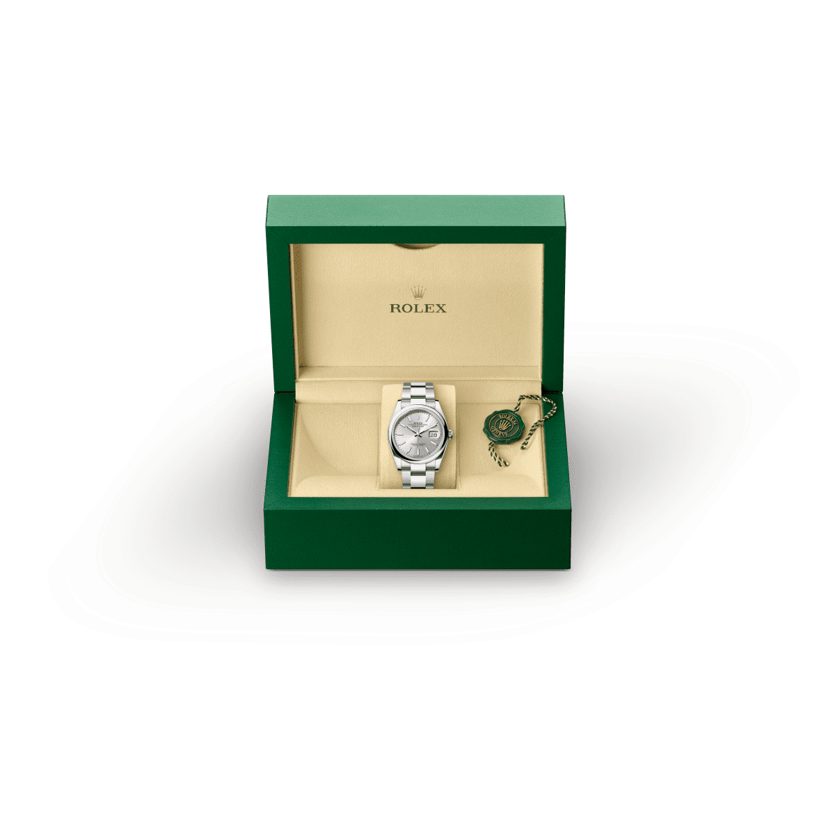 Rolex Datejust 36 in Oystersteel, M126200-0002 Presentation Box - Fink's Jewelers