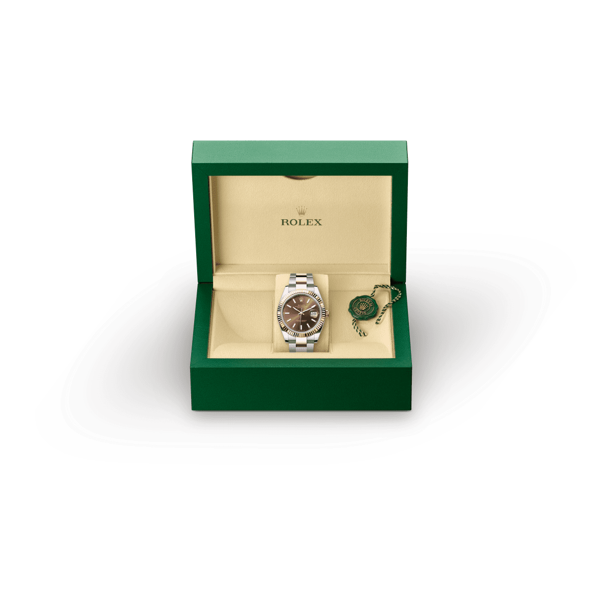 Rolex Datejust 41 in Oystersteel and Everose Gold, m126331-0001 Presentation Box - Fink's Jewelers