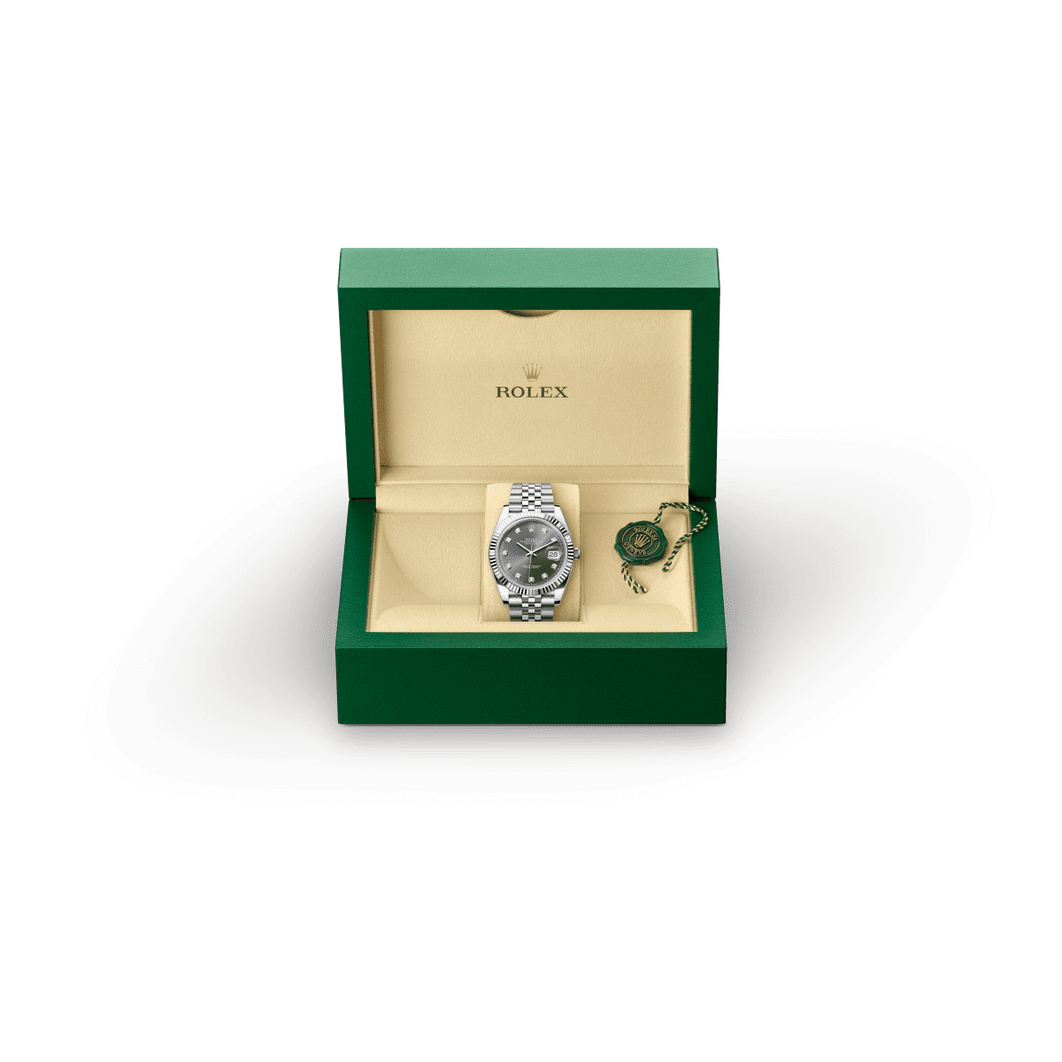 Rolex Datejust 41 in Oystersteel and White Gold, m126334-0006 Presentation Box - Fink's Jewelers