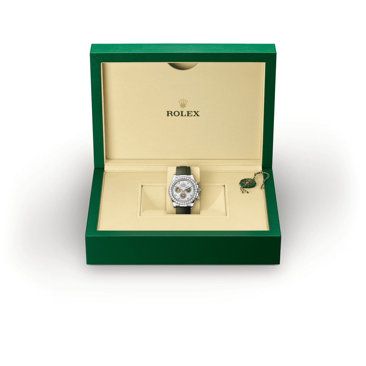 Rolex Cosmograph Daytona in White Gold and Diamonds, m126589rbr-0001 Presentation Box - Fink's Jewelers