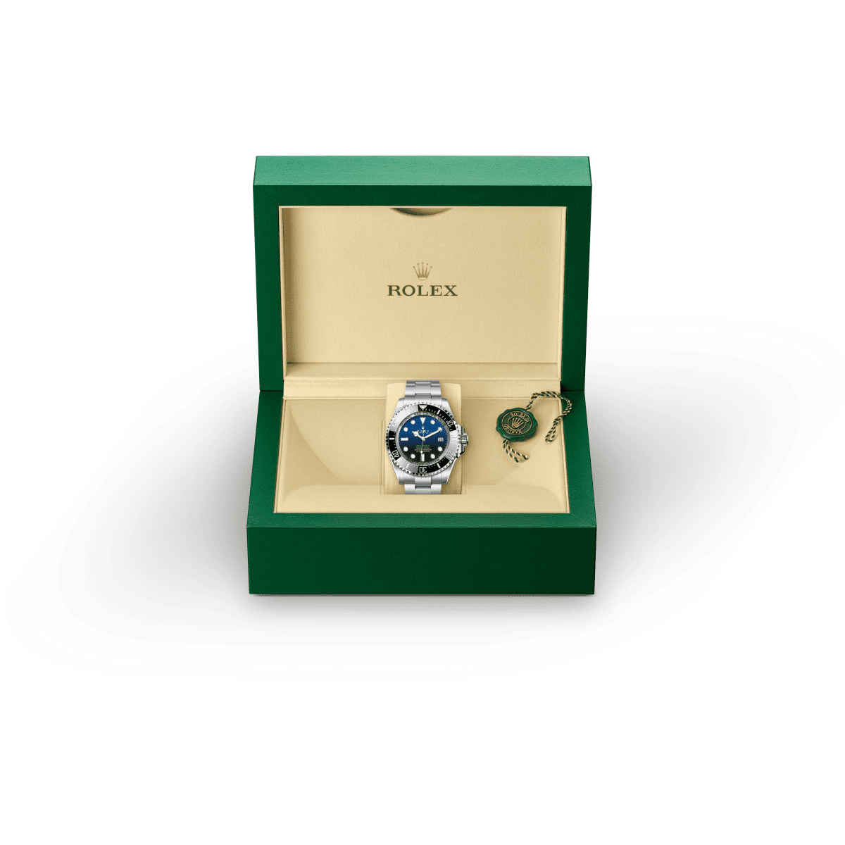 Rolex Deepsea in Oystersteel, m136660-0005 Presentation Box - Fink's Jewelers