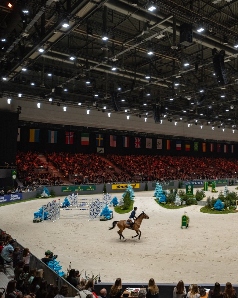 Rolex Grand Slam of Show Jumping Chi Geneva - Fink's