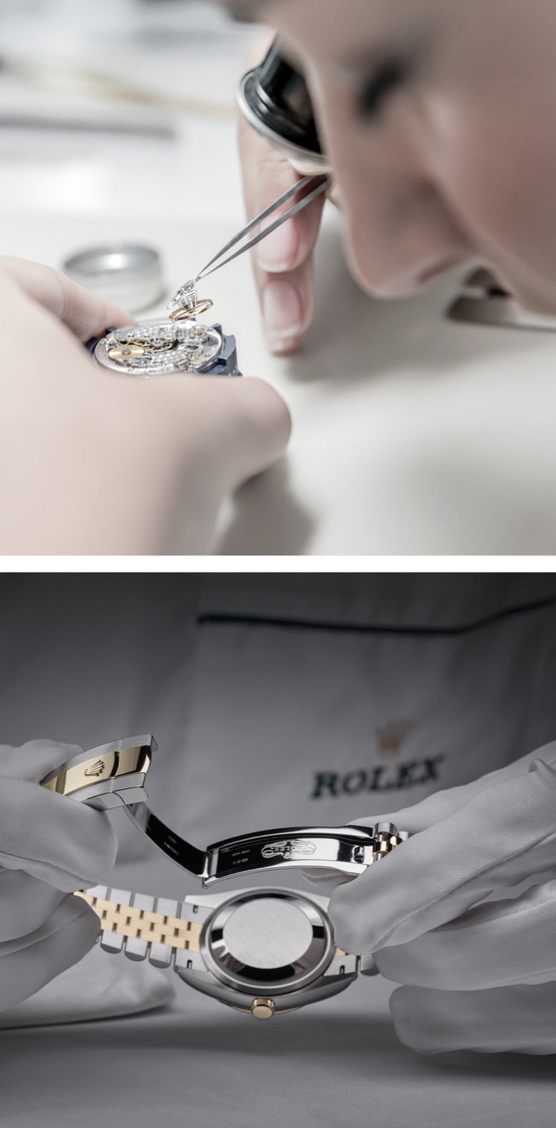 Explore the Rolex History Assembly - Fink's