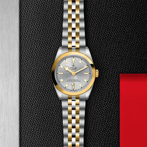 TUDOR Black Bay 31 S&G Steel and Yellow Gold Watch -  M79603-0002 at Fink's Jewelers.